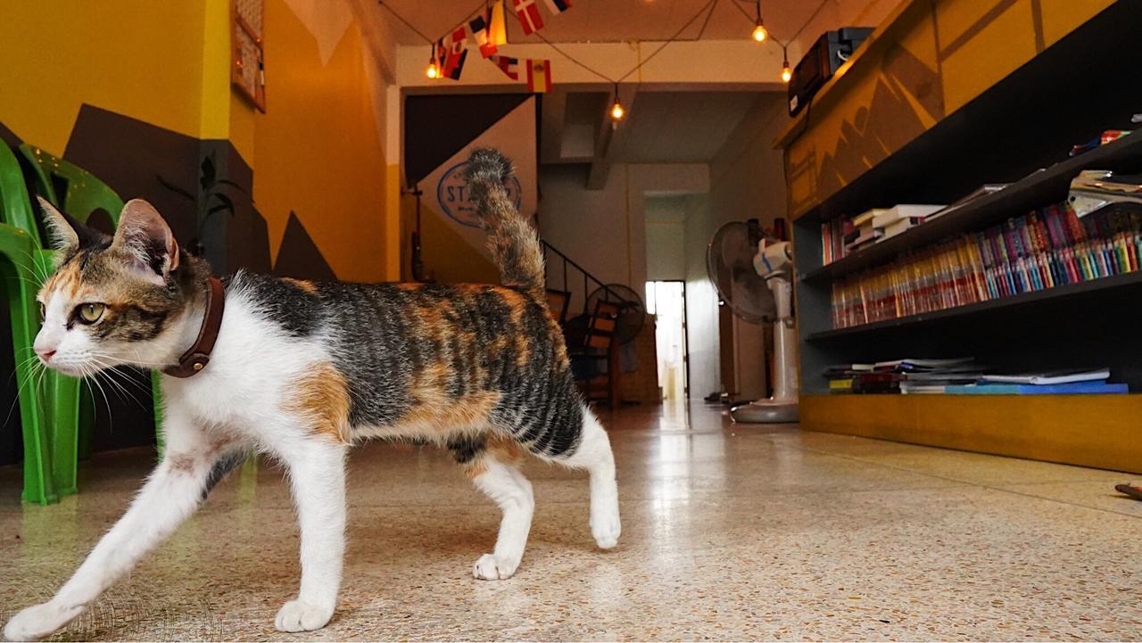 Stamp Hostel (Adults Only) Ban Yang  Bagian luar foto